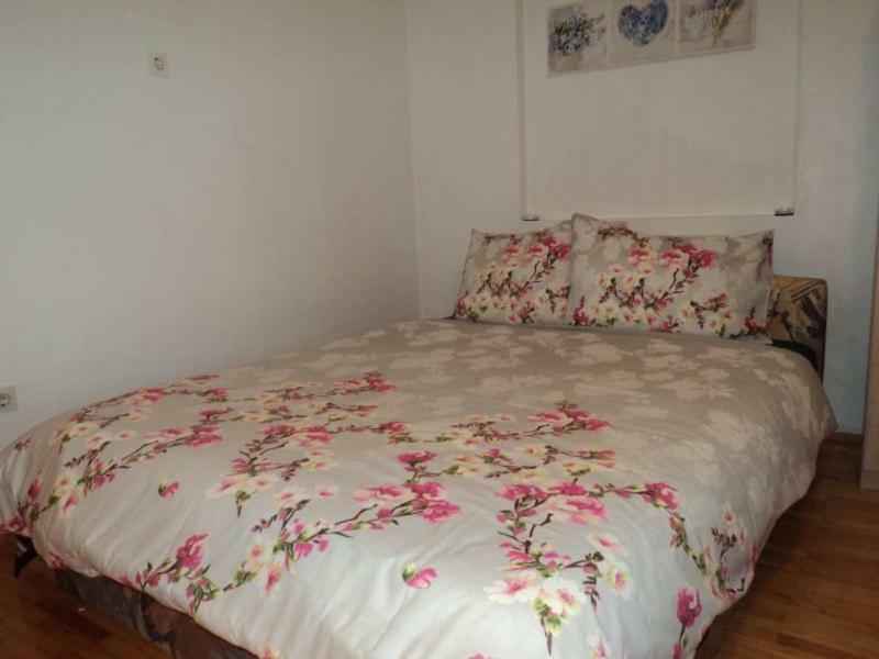 Studio Apartments Ana 罗维尼 外观 照片