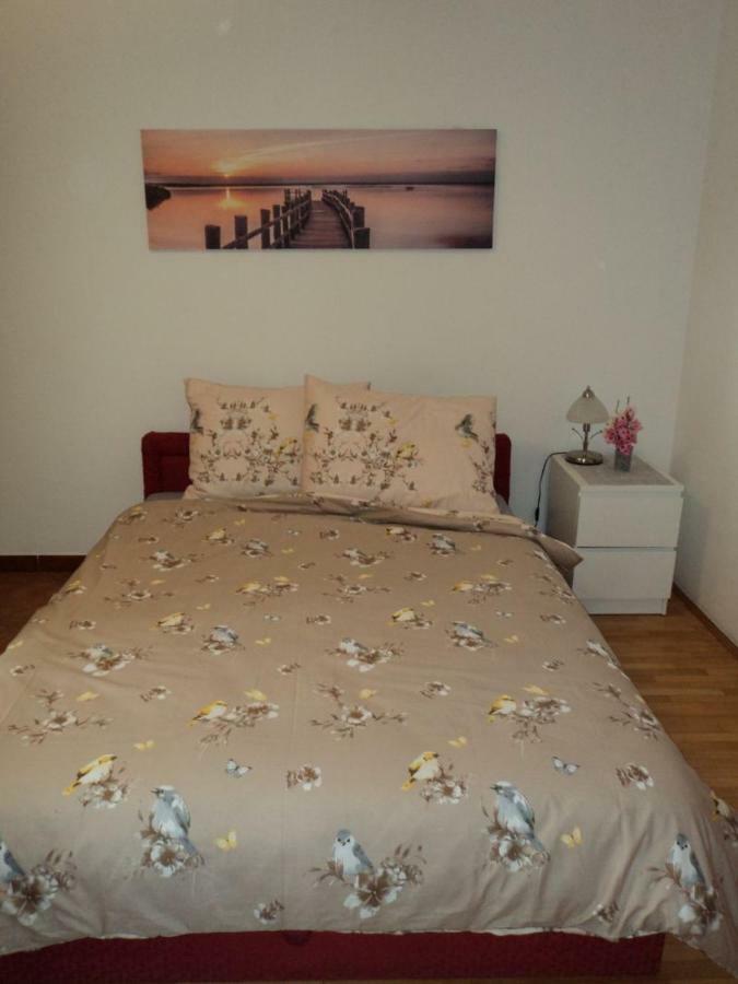 Studio Apartments Ana 罗维尼 外观 照片